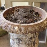Large Terracotta Urn - Image 5