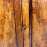 19thc Mahogany bookcase - Image 4