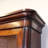 19thc Mahogany bookcase - Image 10