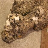 A Pair of Stone Recumbent Lions - Image 2