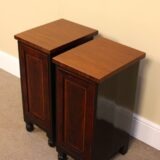 Pair Of 19thc Mahogany Bedside Tables/Cabinets