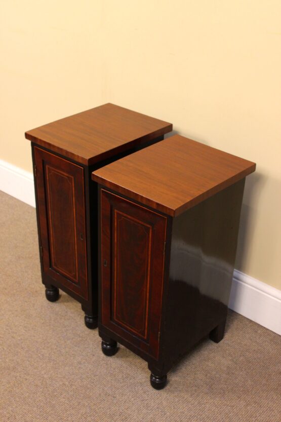 Pair Of 19thc Mahogany Bedside Tables/Cabinets