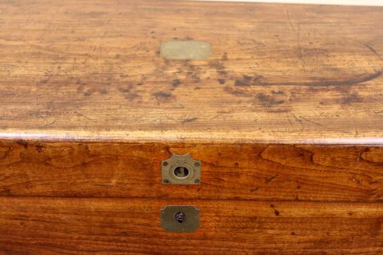 Late 19thc Camphor Wood Chest - Image 7
